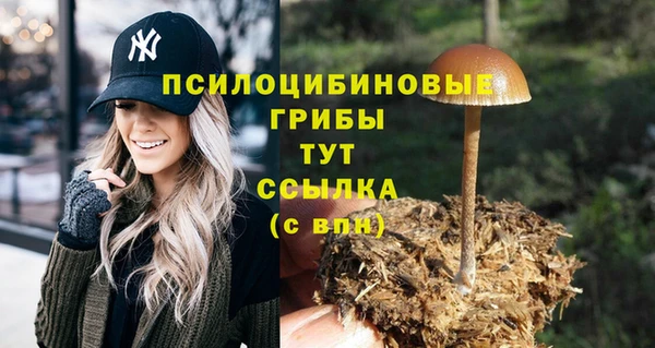 прущая мука Абаза