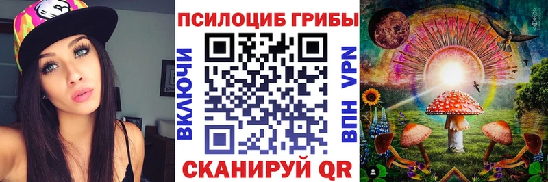 блэк спрут маркетплейс Данилов Псилоцибиновые грибы MAGIC MUSHROOMS